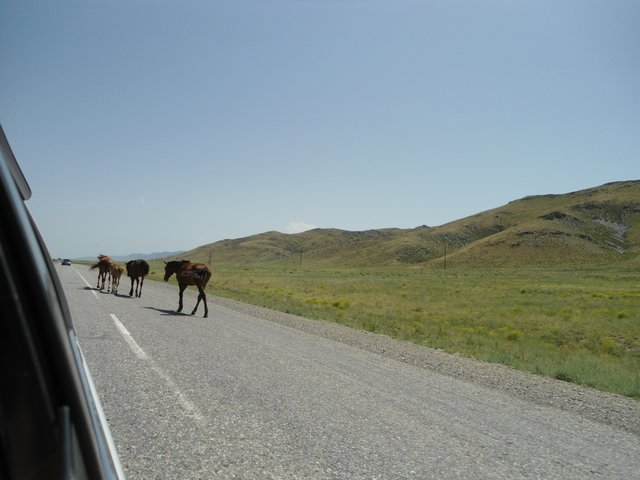 Поездка в Казахстан на автомобиле 3